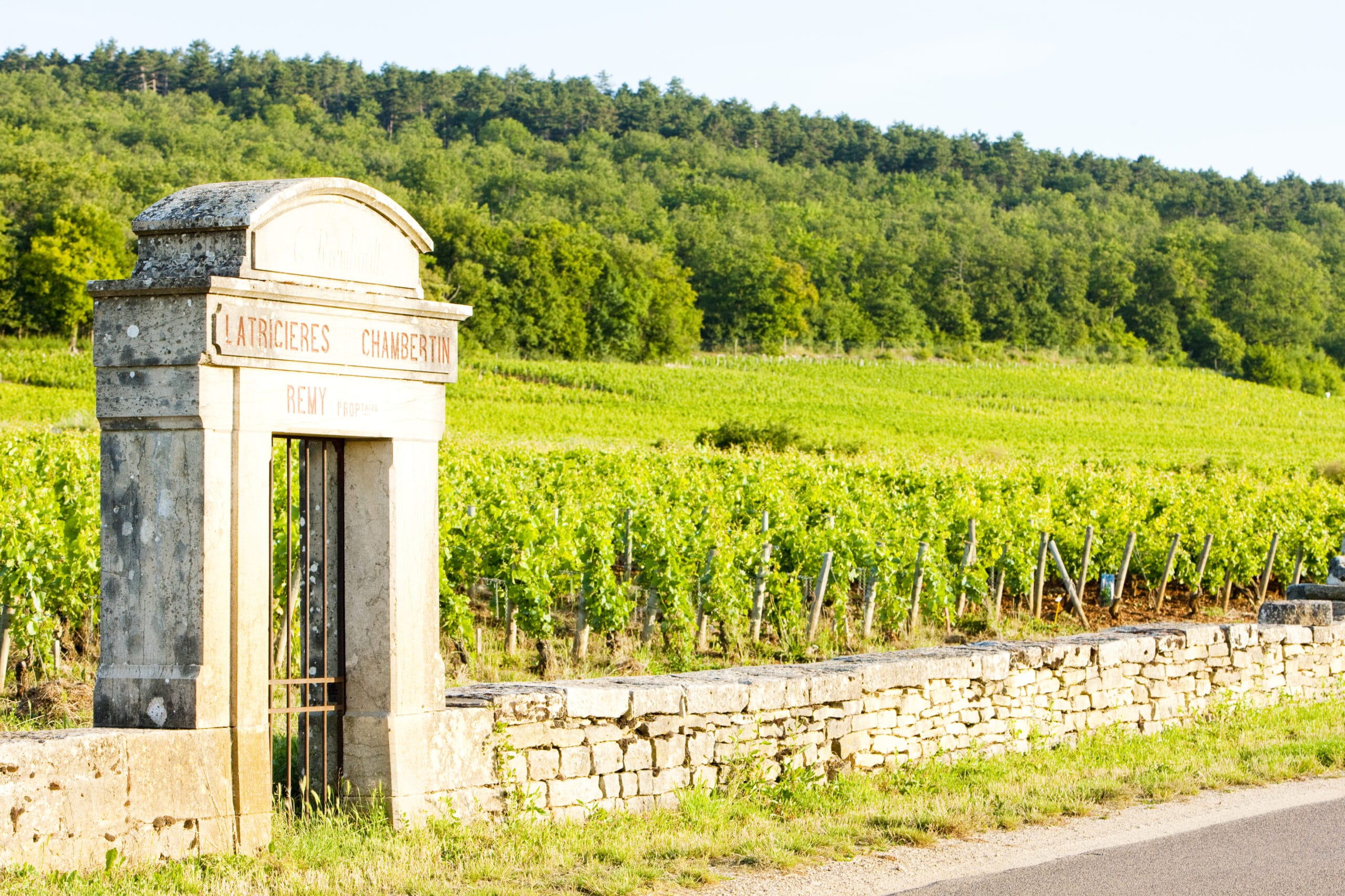 Gevrey-Chambertin