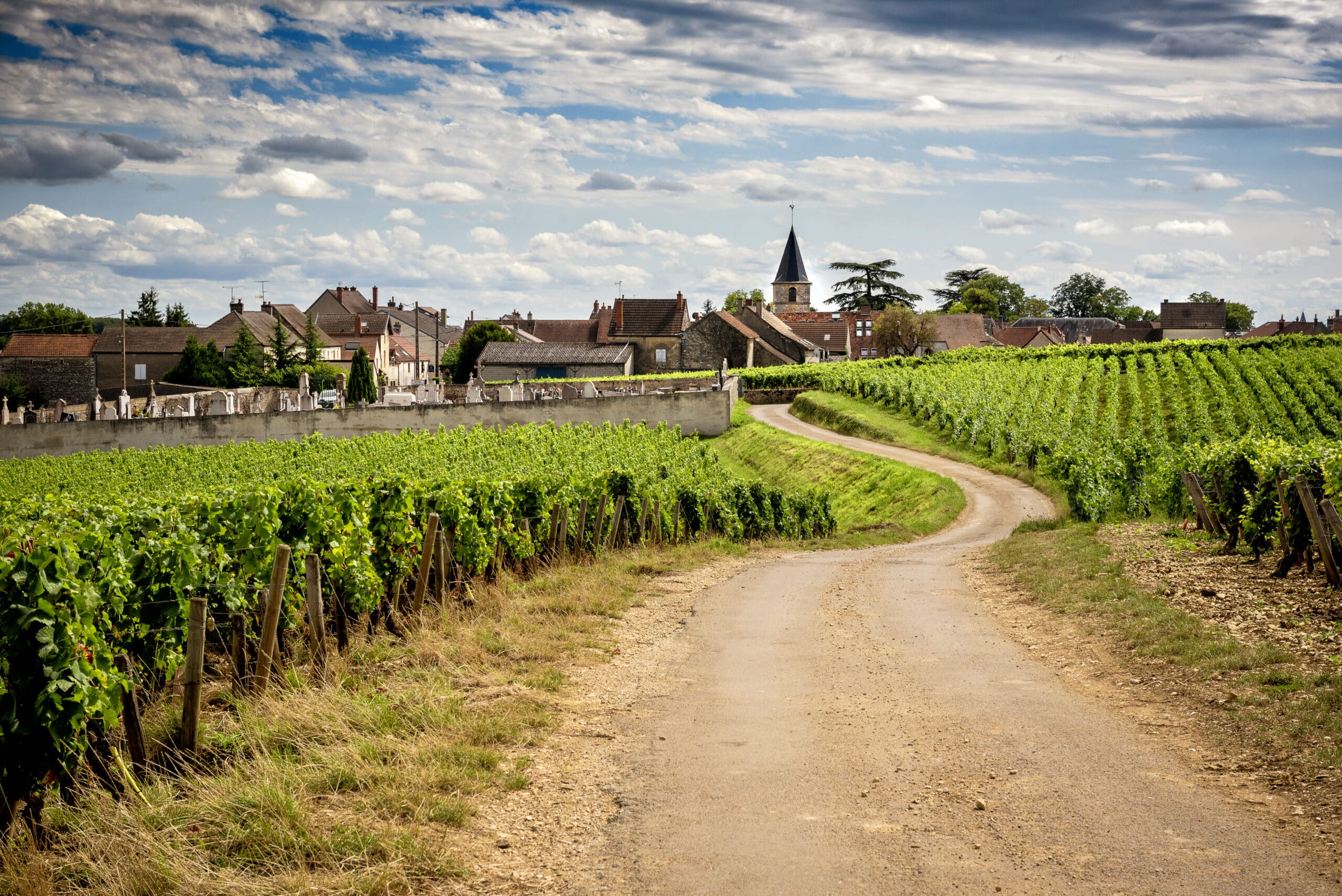 Vosne-Romanée