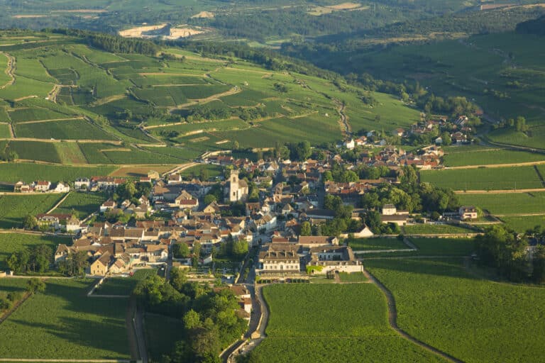 Vignoble de la Cote de Beaune, vue sur le village de Pommard